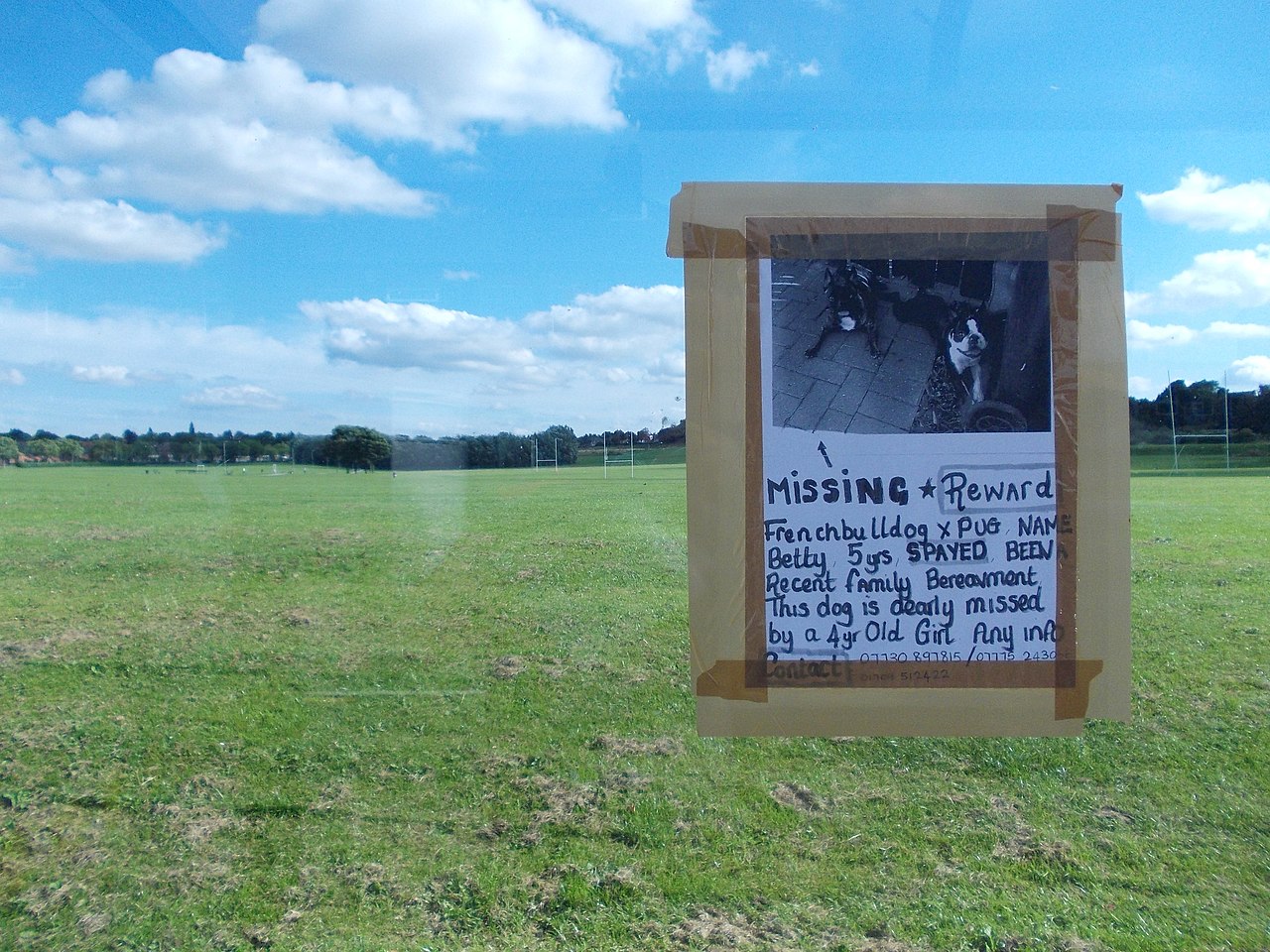 Herringthorpe Playing Fields